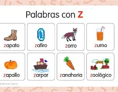 Z? -爱游戏官网